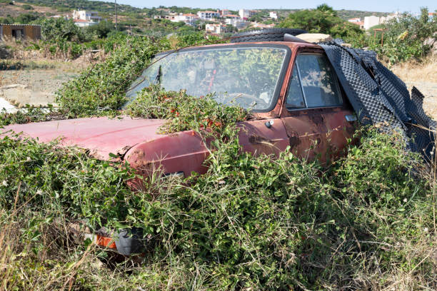 An abandoned old car left in the field on the Greek Island of Chios in the Aegean Sea is being reclaimed by nature. The image was captured on a sunny midday in summer. by a fast prime wide-angle lens an a full frame DSLR camera.