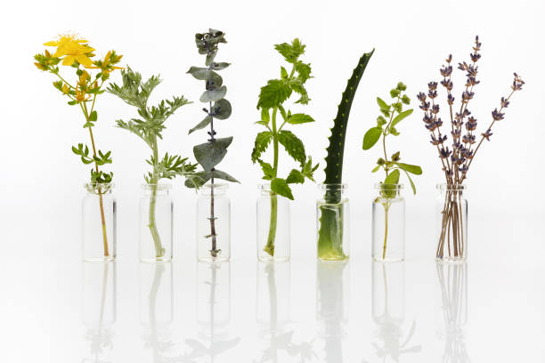 istock Bottle of essential oil with herbs on white background 1165563902