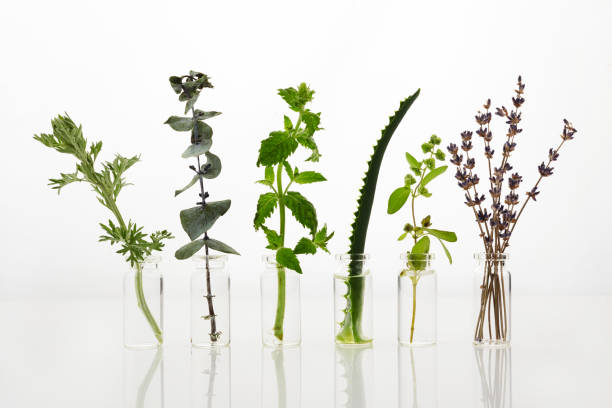 istock Bottle of essential oil with herbs on white background 1165564657