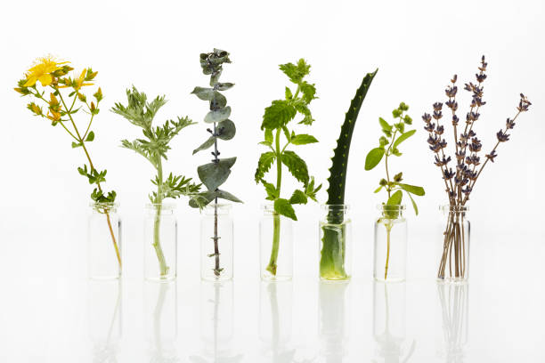 istock Bottle of essential oil with herbs on white background 1165564971