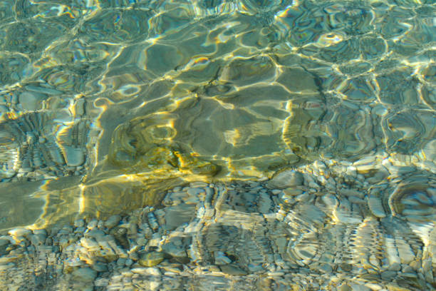 beautiful colorful pebbles and big stone under turquoise blue clear water, scenic marine background or texture, top view - ocean scenic flash imagens e fotografias de stock