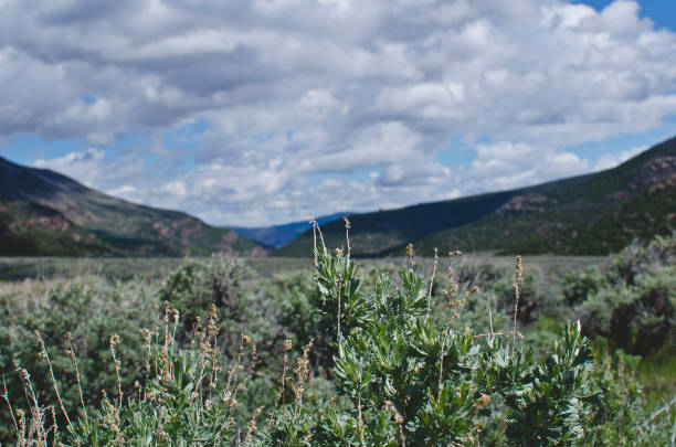 istock The wide open utah desert landscape valley 1165567171