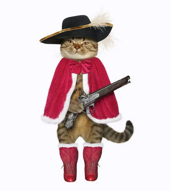 The cat musketeer in a red cloak, boots and a black hat with a feather holds a flintlock pistol. White background. Isolated.