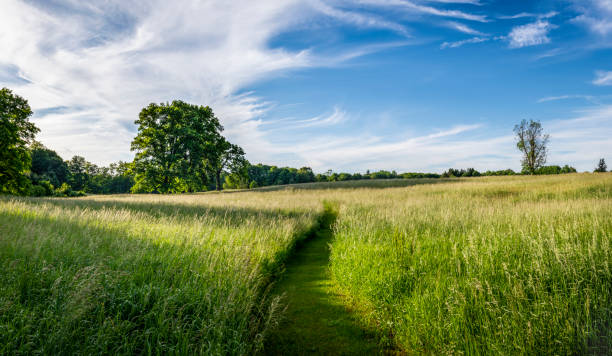 istock Summer Hayfield with Pathway in the Hudson Valley 1165573309