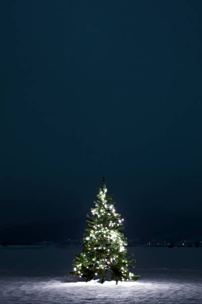 Christmas tree with decorative illumination