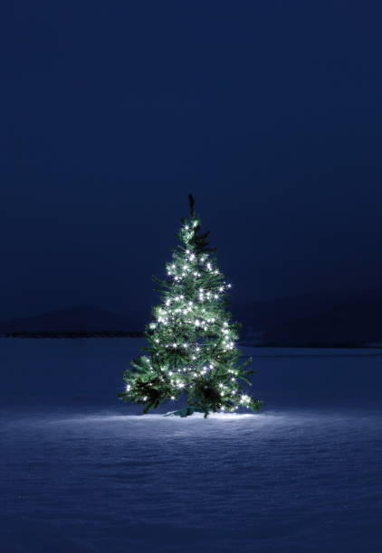 istock Illuminated Christmas tree on the snow at night 1165573706