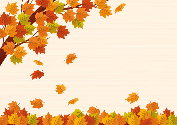 fallende herbstblätter. vektor-illustration. - leaf autumn falling tree stock-grafiken, -clipart, -cartoons und -symbole