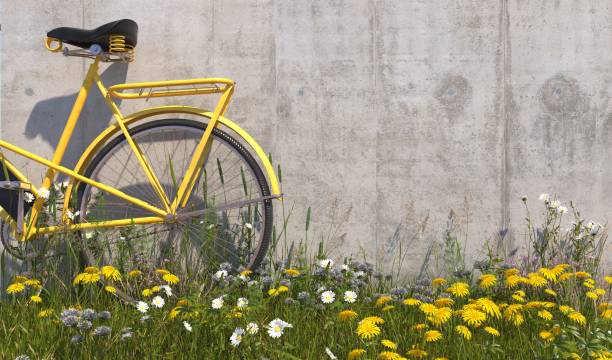 old vintage yellow bicycle stands near concrete wall with grass, overgrown with weeds and wildflowers on a summer sunny day. illustration with copy space. 3d render. - wall flower sunny temperate flower imagens e fotografias de stock