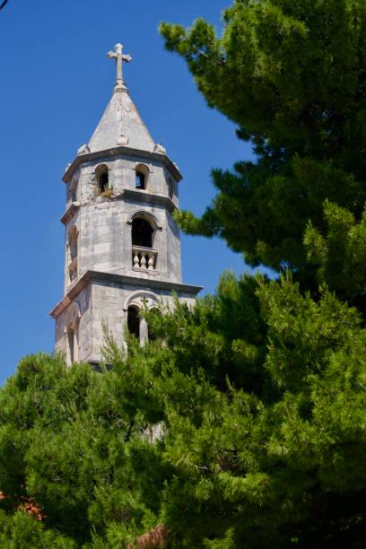 Steeple behind pines Grey steeple under a blue sky behind pines cavtat photos stock pictures, royalty-free photos & images