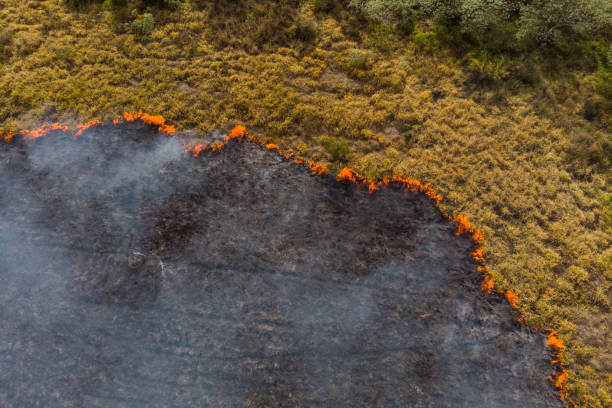 Forest fire in Brazil Drone view of burning pasture in Brazil on dry season environmental damage stock pictures, royalty-free photos & images