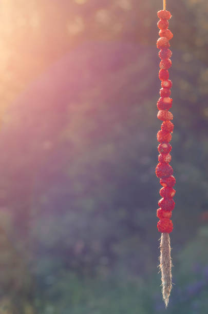 Berries:  strawberries, blueberries, raspberries, red currants on a white background