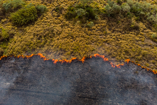 Drone view of burning pasture in Brazil on dry season