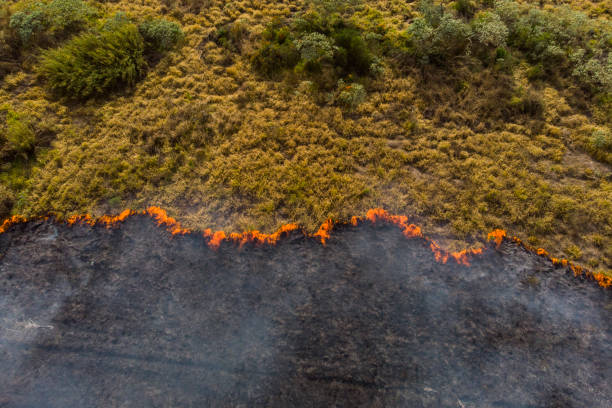 incêndio florestal no brasil-mudança climática - outdoor fire - fotografias e filmes do acervo