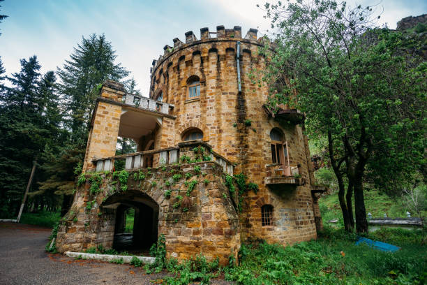A closeup shot of the ruins of the palace in Kopice, Poland