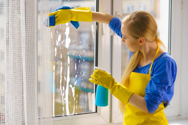 istock Woman cleaning window at home 1165584615