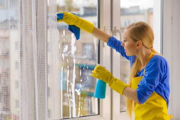 istock Woman cleaning window at home 1165585312