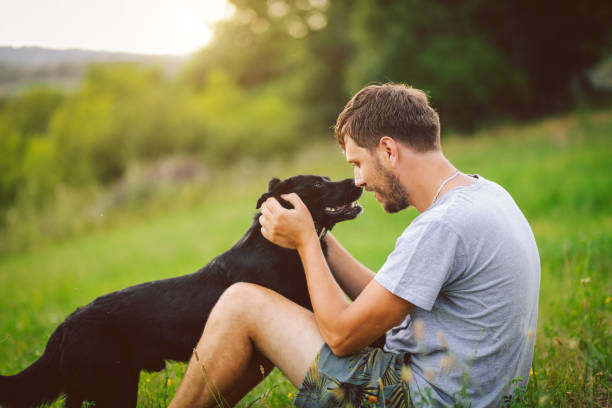 istock Guy and his dog having a fun in the nature 1165587219