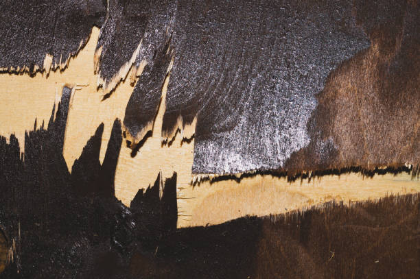 istock Painted wooden background. wood texture 1165587301