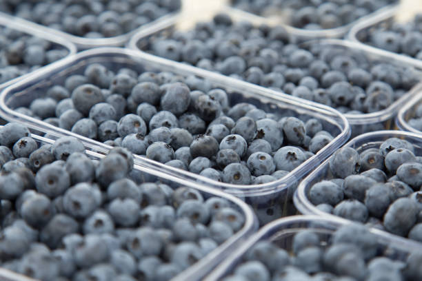 istock Fresh blueberries. Farmer market counter. 1165588146
