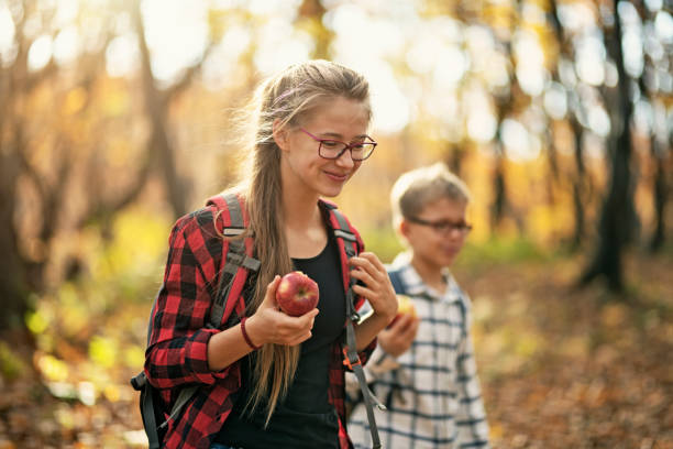 brat i siostra cieszący się jesienią w lesie - apple eating healthy eating friendship zdjęcia i obrazy z banku zdjęć