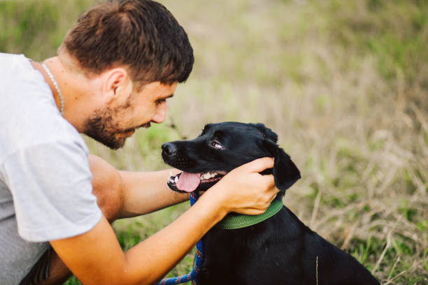 istock Guy and his dog having a fun in the nature 1165590631