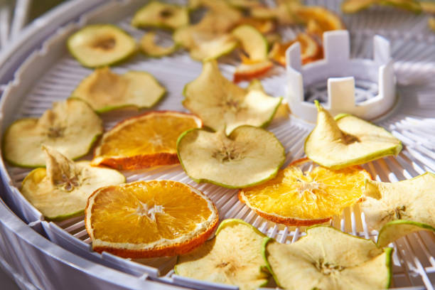 Photo of a variety of fruit on a food dehydrator.