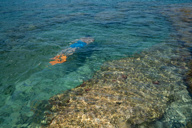 istock Freediver young man swims underwater 1165591794