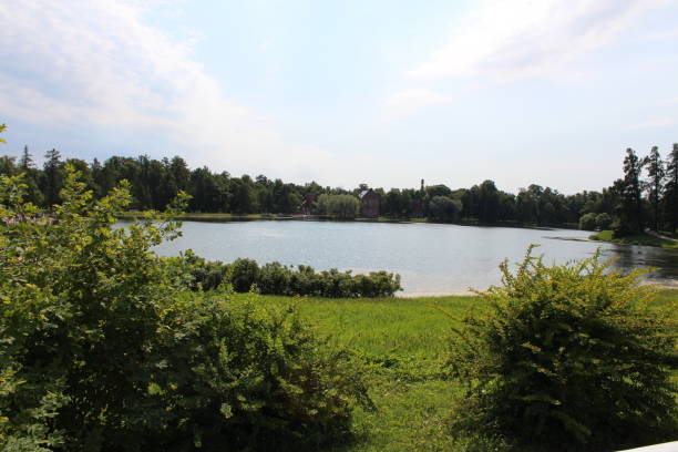 istock Lovely quite rural scene with lake, grass and trees 1165595408