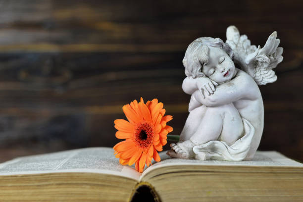 istock Guardian angel sleeping on the book 1165598469
