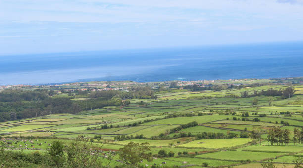 istock Farmland with stone walled fields in Terceira, Azores 1165598766
