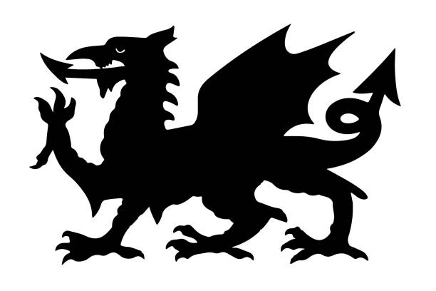 ilustraciones, imágenes clip art, dibujos animados e iconos de stock de ilustración de vector escocomodo con el dragón negro de gales - welsh flag