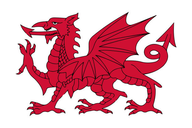 ilustraciones, imágenes clip art, dibujos animados e iconos de stock de ilustración de vector de dragón rojo galés - welsh flag flag welsh culture all european flags