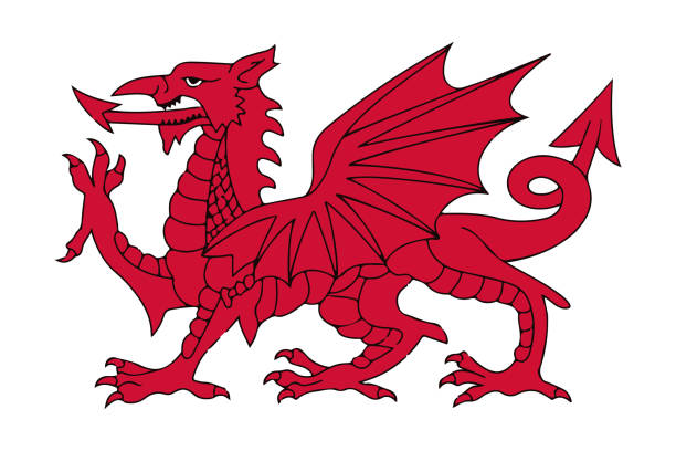 illustrazioni stock, clip art, cartoni animati e icone di tendenza di illustrazione del vettore del drago rosso gallese - welsh flag immagine