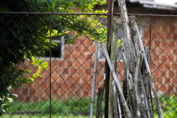 istock Wooden Rakes against Brick Wall 1165599907