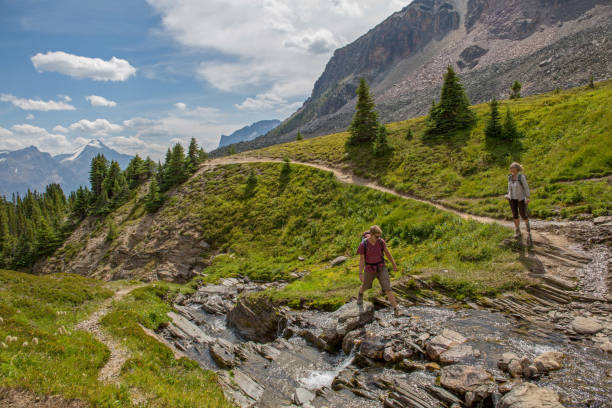 istock Hikers ascend trail over creek running through an alpine meadow 1165602454