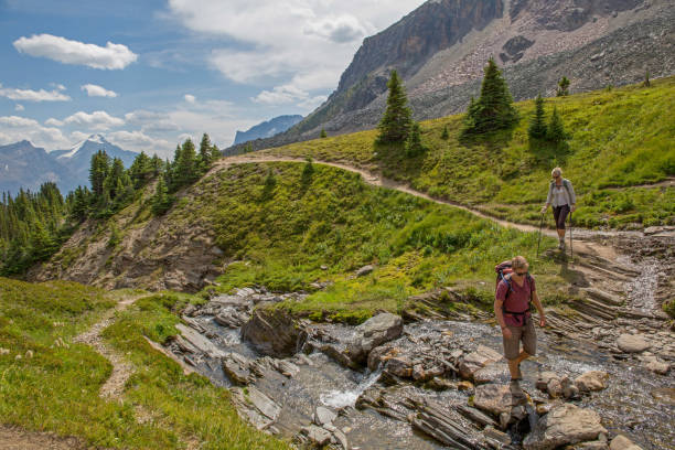 istock Hikers ascend trail over creek running through an alpine meadow 1165602462