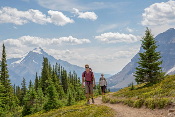 Hikers ascend trail through an alpine meadow above the mountains They are hiking in Banff National Park, Alberta travel destinations 20s adult adventure stock pictures, royalty-free photos & images