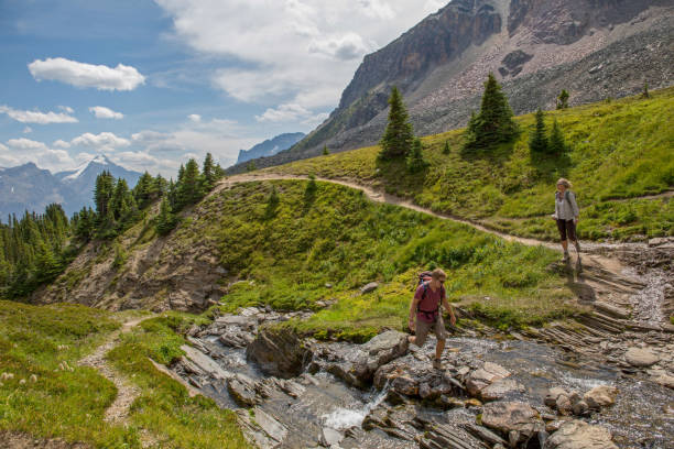 istock Hikers ascend trail over creek running through an alpine meadow 1165602465