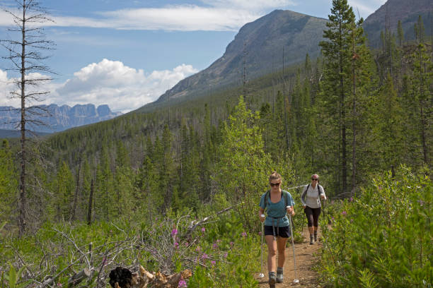 istock Female hikers on a trail through the forest in the mountains 1165602638