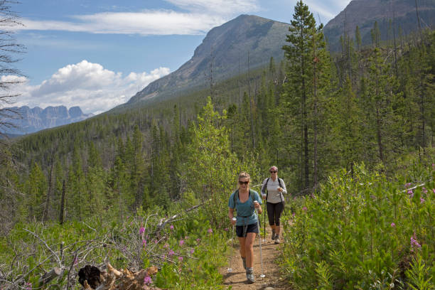 istock Female hikers on a trail through the forest in the mountains 1165602646