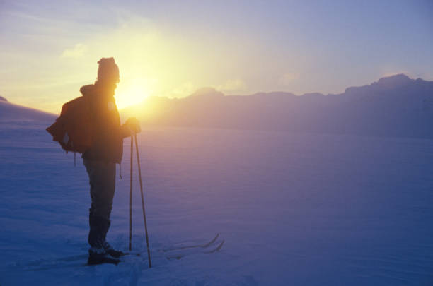Backcountry skier backlit in the morning sun on Bow Glacier