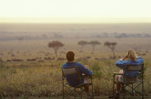 Couple relax in armchairs on the savannah stock photo