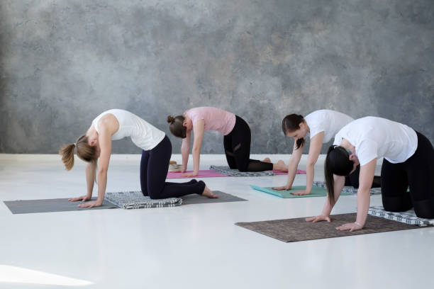young caucasian women practicing yoga doing pilates exercise. Group of young caucasian women practicing yoga doing pilates exercise. Cow or Bitilasana or cat pose. cat pose yoga stock pictures, royalty-free photos & images