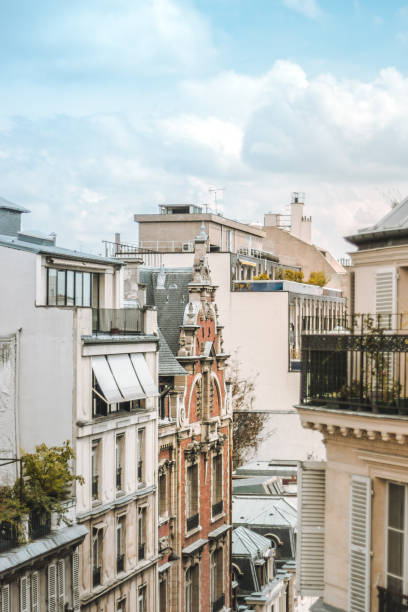 Paris roofs panoramic overview at summer day, France, traditional postcard picture. Cozy balconies Paris roofs panoramic overview at summer day, France, traditional postcard picture pompidou center stock pictures, royalty-free photos & images