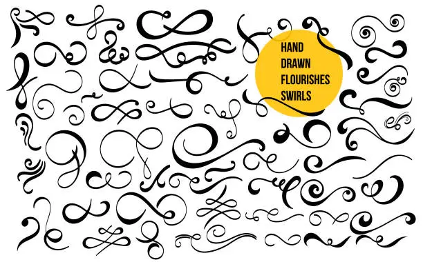 Vector illustration of Set of hand drawn flourishes swirls, text dividers, wedding decor design elements. For calligraphy graphic design, wedding invitation, romantic style. Vector illustration. Isolated on white background