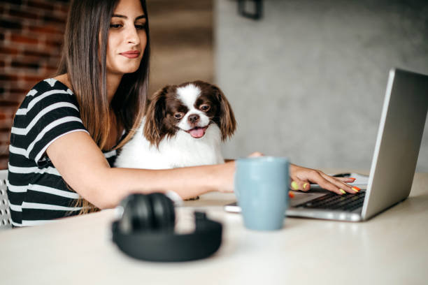 istock You make my job easyer 1165606695