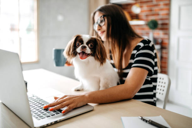 istock You make my job easyer 1165606710