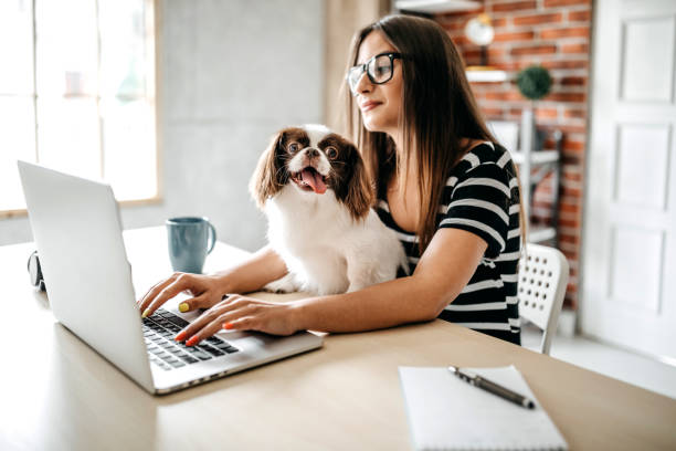 istock You make my job easyer 1165606713