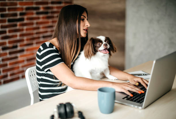 istock You make my job easyer 1165607341
