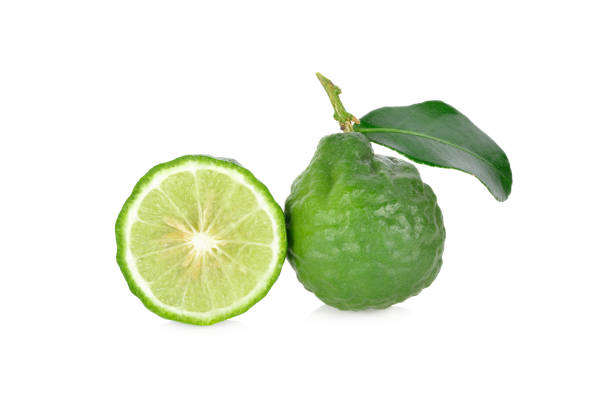 istock whole fresh kaffier with stem and leaf on white background 1165607417